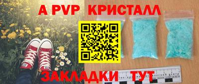 стаф Лесосибирск