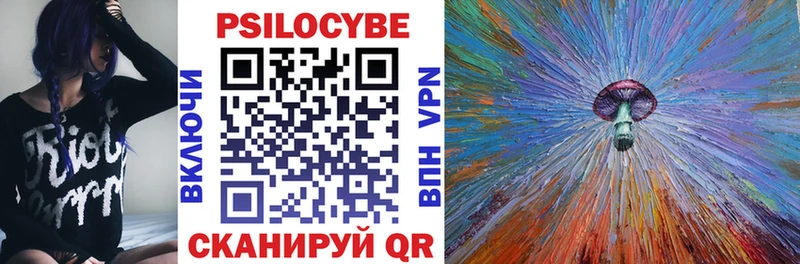 Псилоцибиновые грибы Psilocybe  наркотики  Омск 