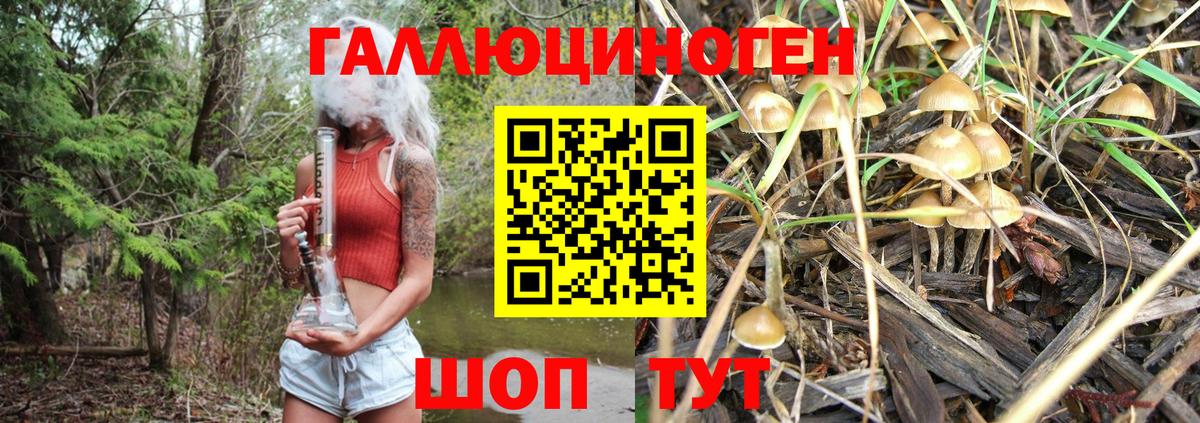 Галлюциногенные грибы GOLDEN TEACHER  Вход с VPN  Омск  Галлюциногенные грибы мицелий 