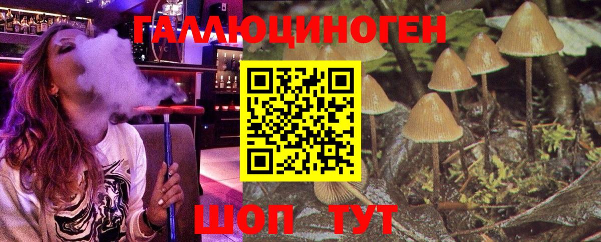 Галлюциногенные грибы Cubensis Омск