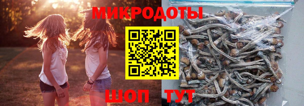 Галлюциногенные грибы мухоморы  Вход с VPN  Галлюциногенные грибы прущие грибы  Омск 